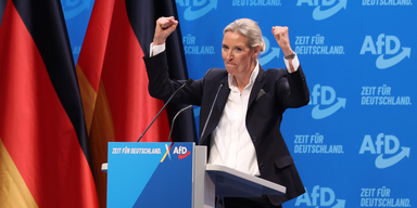 Hammer-Umfrage zeigt, wie stark die AfD wirklich ist - oe24.at